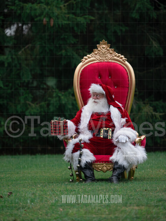Santa in Throne with Free Snow Overlay - Santa in Christmas Chair by