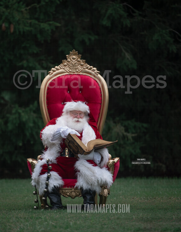 Santa in Throne with Free Snow Overlay - Santa in Christmas Chair by
