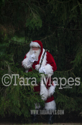Santa in Outside in Pines - Free Snow Overlay - Santa by Pine Trees - Outdoor Christmas Holiday Digital Background Backdrop