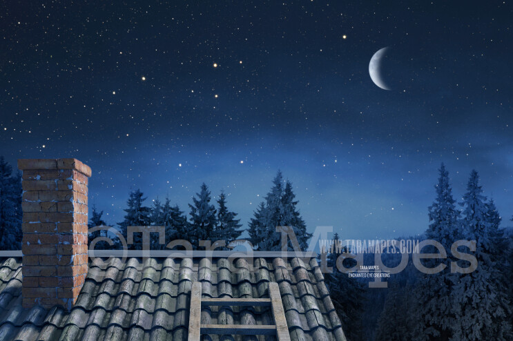 Christmas Rooftop Christmas Roof with Pines Holiday Digital Background Backdrop