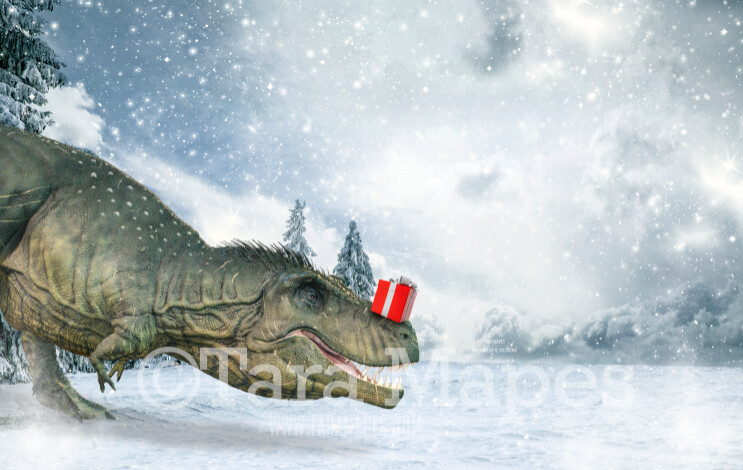 Dinosaur with Christmas Gift - Christmas Dino - T Rex Holiday Digital Background
