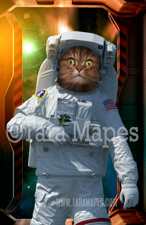 Pet Portrait PSD Template - Pet Astronaut Body Tara Mapes - Layered PSD  Digital Background Backdrop