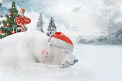 Christmas Polar Bear Digital Background - Polar Bear Nap In North Pole- Holiday Christmas Digital Background Backdrop