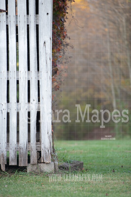 Old Barn Portrait Nature Background - Creamy Digital Background- Old Wooden Barn in Forest - Digital Background