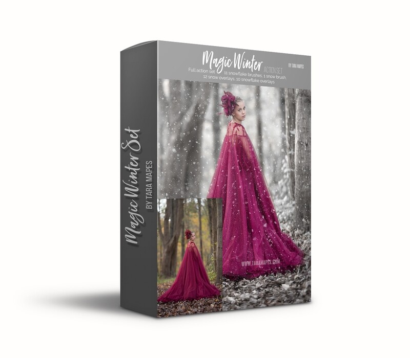 Magic Winter Action Set by Tara Mapes -  Winterize your image - Photoshop Action and Overlays for Winter Look - Demo tutorial in product description