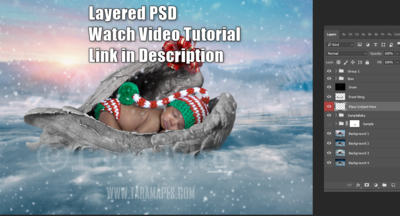 Heaven Sent on Christmas - Christmas Gift Baby Newborn Kitten Pupply - LAYERED PSD   - Christmas Digital Background