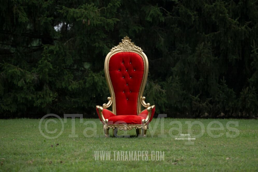 Christmas Throne - Santa's Chair by Pine Trees - Outdoor Christmas Holiday Digital Background Backdrop