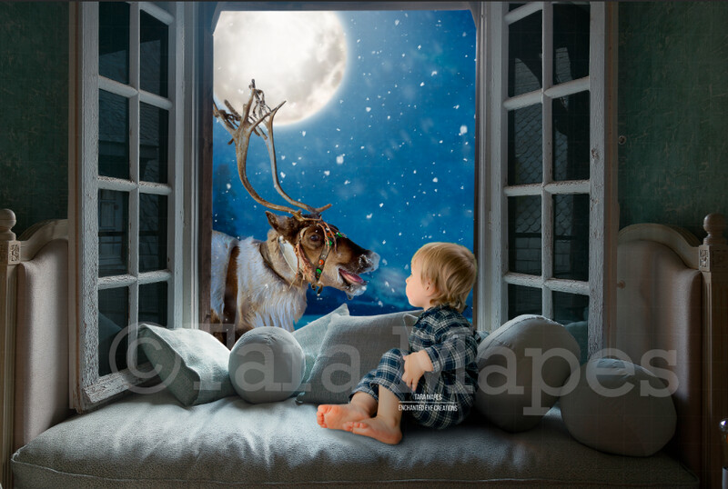 Christmas Window with Smiling Reindeer  - Rudolph in Window Christmas Digital Background Backdrop