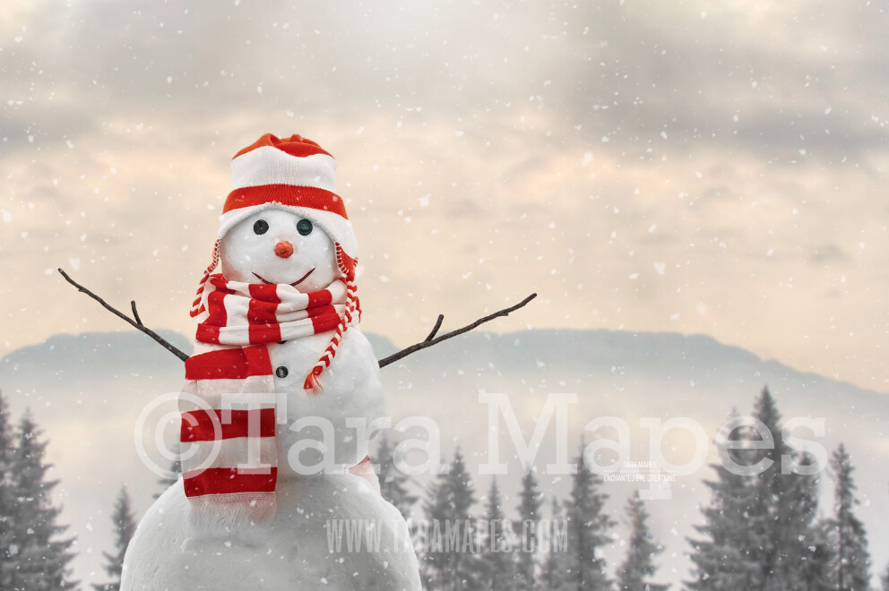 Snowman by Mountains - Snowman by Pine Trees - Frosty the Snowman- Snowman in Hat and Scarf - Winter Christmas Digital Background Backdrop