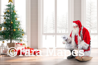 Santa Kneeling on Pillow with Ornament- Santa Bright Winter Day with Ornament - Cozy Christmas Holiday Digital Background Backdrop