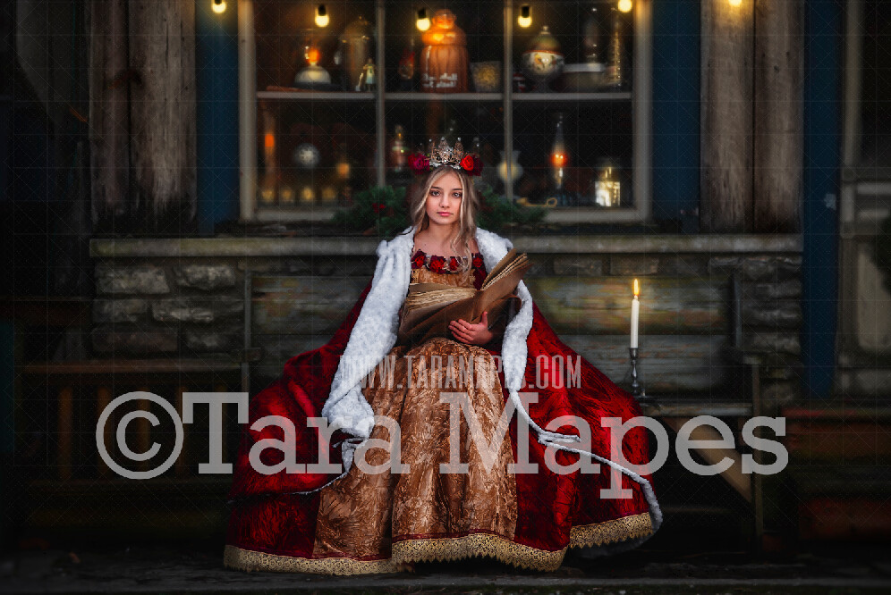 Christmas Shop - Christmas Bench in Front of Christmas Window- Storefront Holiday Christmas Street - Christmas Town  - Portrait Digital Background