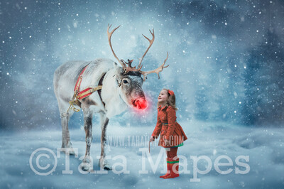 Reindeer in Snow with Pine Trees Christmas Holiday Digital Background Backdrop
