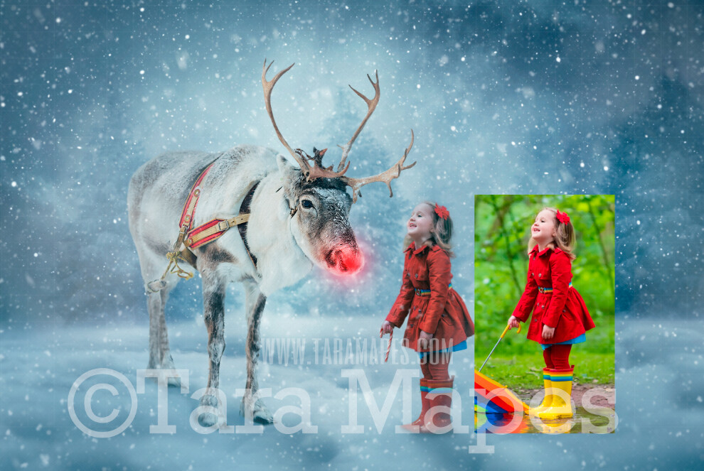 Photoshop Tutorial on How To Extract and Blend Your Subject into Reindeer in Snowy Scene Background in Photoshop by Tara Mapes
