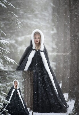 Black Ice Queen- Fine Art Painterly Photoshop Tutorial - PAINTED SKIN ACTION SET INCLUDED- Fine Art Tutorial by Tara Mapes