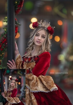 Christmas Belle- Fine Art Painterly Photoshop Tutorial - PAINTED SKIN ACTION SET INCLUDED- Fine Art Tutorial by Tara Mapes
