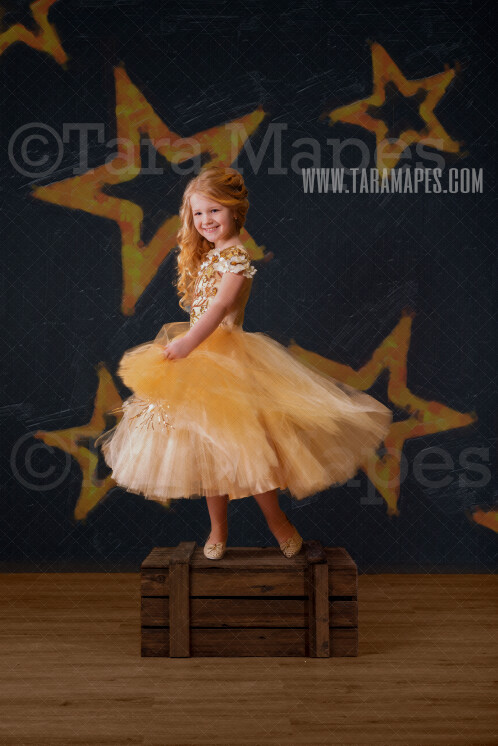 Stars on Black Digital Background - Star Marquee Studio Light - New Year - Gold and Black - Birthday -Digital Background / Backdrop