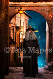 Wizard Digital Backdrop - Dark Alley - Magic Alley - Wizard Alley 2 - Digital Background / Backdrop