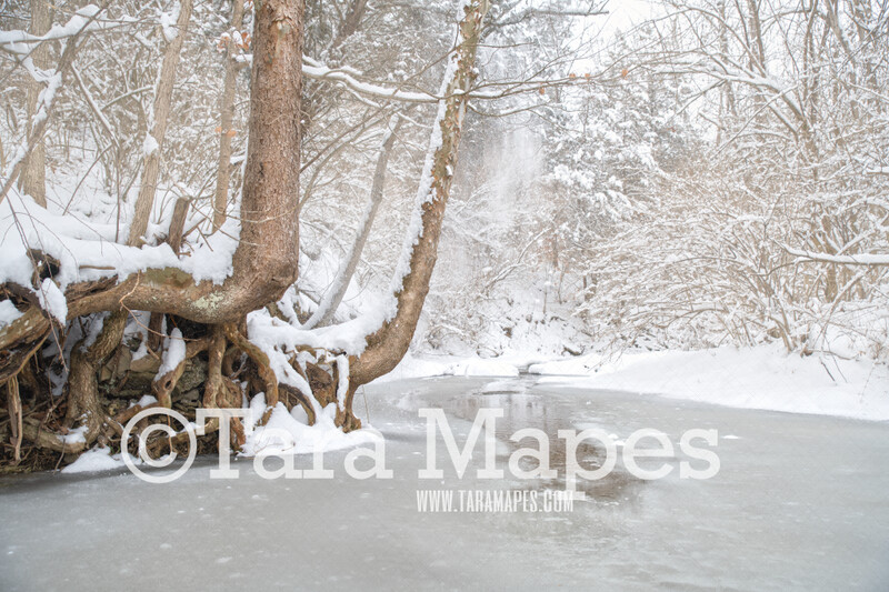 Frozen Creek 2 - Winter Scene- Snowy Scene Digital Background plus FREE SNOW OVERLAY