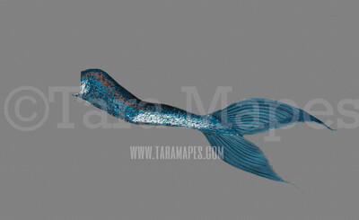 Magical Mermaid Tail - PNG  overlay - Transparent Background