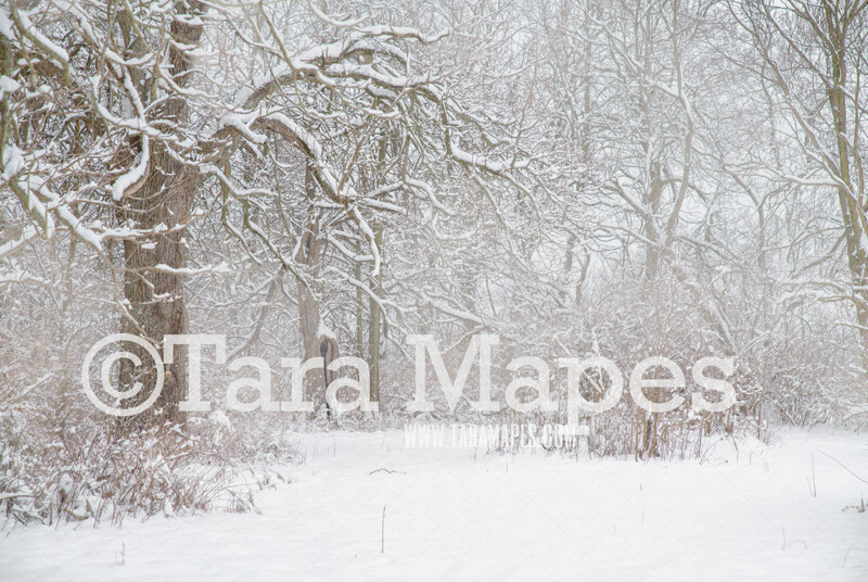 Frozen Trees 2 - Winter Scene- Snowy Scene Digital Background plus FREE SNOW OVERLAY