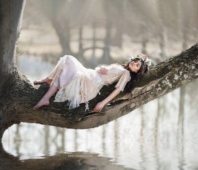 Old Tree Branch Over Pond - Digital Background JPG File Portraits Digital Background