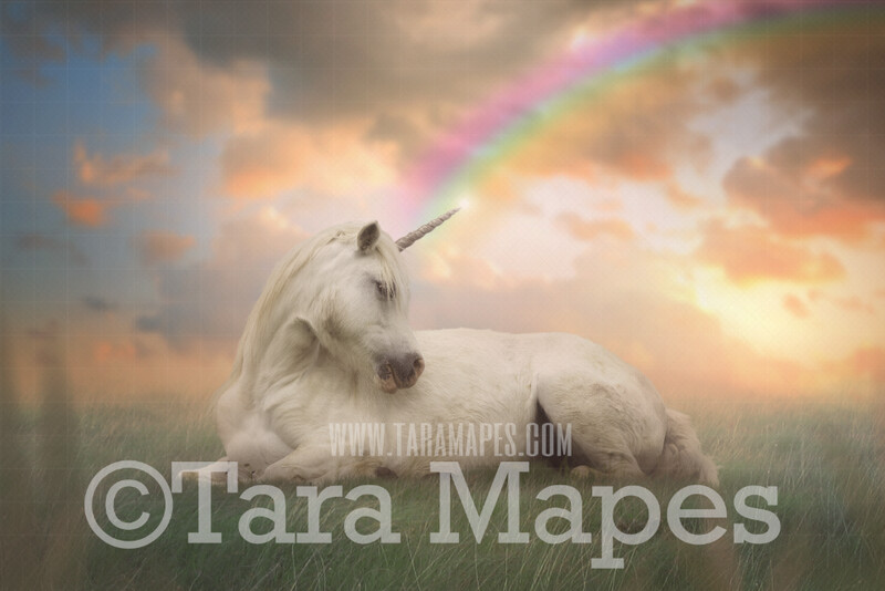 Unicorn Digital Backdrop - Unicorn in Soft Pastel Field- Unicorn in Field with Rainbow - JPG file Digital Background