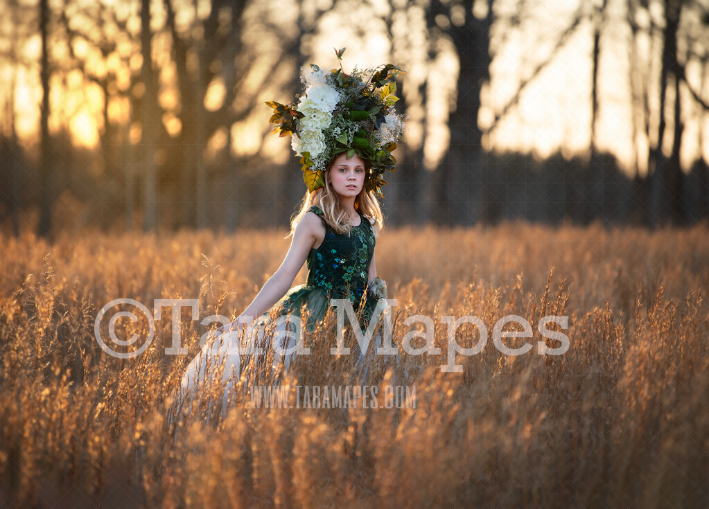 Golden Field- Digital Background JPG File Portraits Digital Background