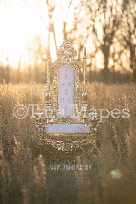 Golden Throne in Golden Field TWO PACK- Throne in Field at Sunset - Royal Natural Digital Background JPG File Portraits Digital Background