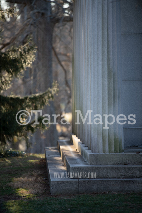 Mausoleum Building - Stairs in Natural Background - Old Architecture - Creamy Digital Background by Tara Mapes