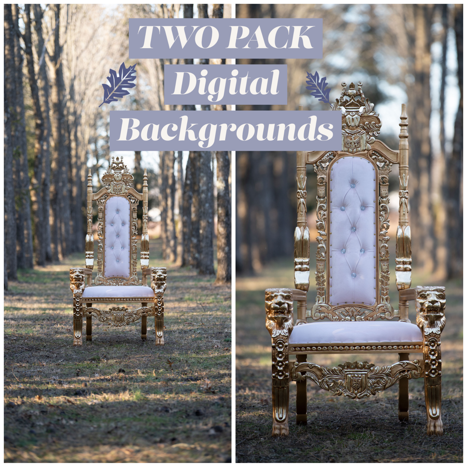 Golden Throne in Enchanted Forest TWO PACK- Throne in Enchanted Forest - Royal  Chair King Queen Throne Chair - Natural Digital Background JPG File -  Portraits Digital Background