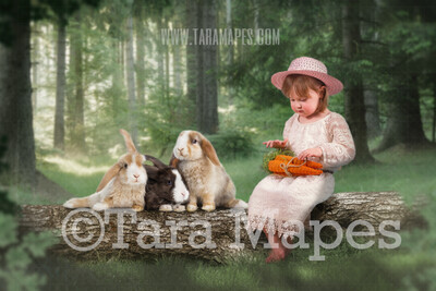 Easter Bunnies on Spring Log in Forest - Easter Rabbits JPG file - Photoshop Digital Background / Backdrop