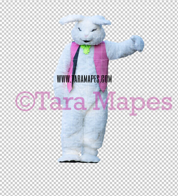 Easter Bunny -  Easter Bunny Clip Art - Easter Bunny Rabbit Cut Out  - Easter Overlay - Bunny PNG - File 2825