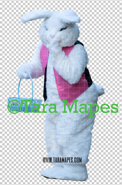 Easter Bunny - Easter Bunny Clip Art - Easter Bunny Rabbit Cut Out - Easter Overlay - Bunny PNG - File 2857