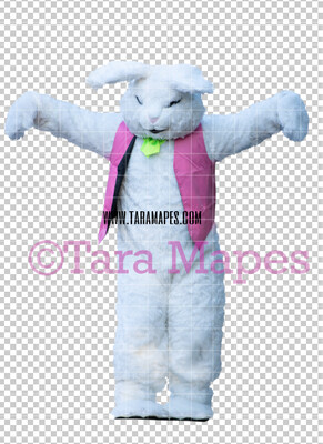 Easter Bunny -  Easter Bunny Clip Art - Easter Bunny Rabbit Cut Out  - Easter Overlay - Bunny PNG - File 2833