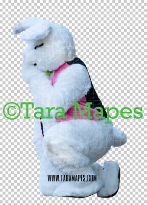 Easter Bunny -  Easter Bunny Clip Art - Easter Bunny Rabbit Cut Out  - Easter Overlay - Bunny PNG - File 2843