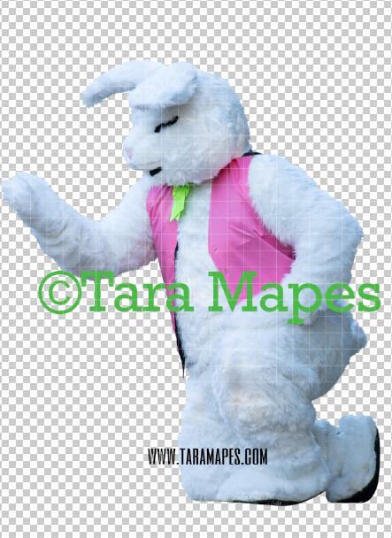 Easter Bunny - Easter Bunny Clip Art - Easter Bunny Rabbit Cut Out - Easter Overlay - Bunny PNG - File 2847