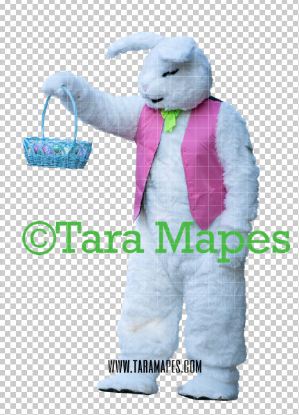 Easter Bunny -  Easter Bunny Clip Art - Easter Bunny Rabbit Cut Out  - Easter Overlay - Bunny PNG - File 2859