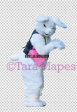 Easter Bunny -  Easter Bunny Clip Art - Easter Bunny Rabbit Cut Out  - Easter Overlay - Bunny PNG - File 2831