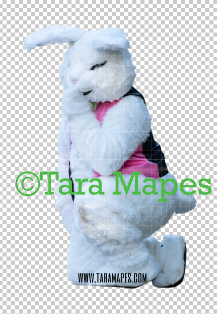 Easter Bunny - Easter Bunny Clip Art - Easter Bunny Rabbit Cut Out - Easter Overlay - Bunny PNG - File 2844