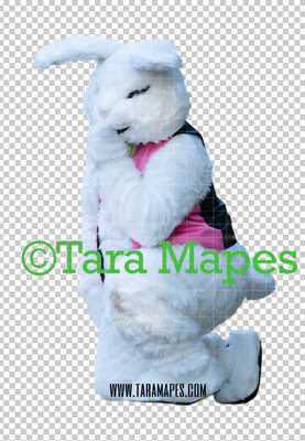 Easter Bunny -  Easter Bunny Clip Art - Easter Bunny Rabbit Cut Out  - Easter Overlay - Bunny PNG - File 2844