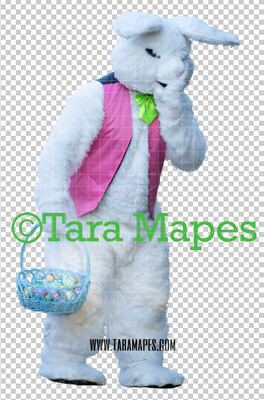Easter Bunny -  Easter Bunny Clip Art - Easter Bunny Rabbit Cut Out  - Easter Overlay - Bunny PNG - File 2851