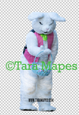 Easter Bunny -  Easter Bunny Clip Art - Easter Bunny Rabbit Cut Out  - Easter Overlay - Bunny PNG - File 2852