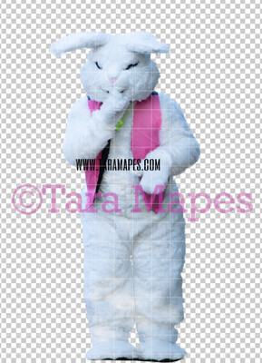 Easter Bunny -  Easter Bunny Clip Art - Easter Bunny Rabbit Cut Out  - Easter Overlay - Bunny PNG - File 2836