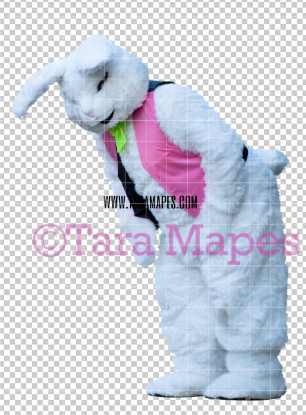Easter Bunny - Easter Bunny Clip Art - Easter Bunny Rabbit Cut Out - Easter Overlay - Bunny PNG - File 2838