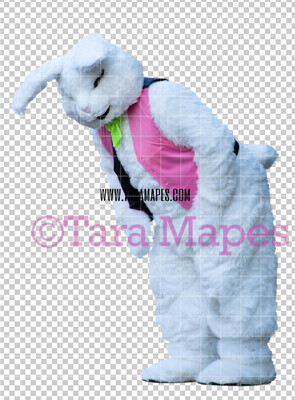 Easter Bunny -  Easter Bunny Clip Art - Easter Bunny Rabbit Cut Out  - Easter Overlay - Bunny PNG - File 2838