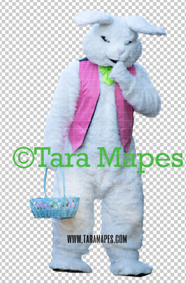 Easter Bunny -  Easter Bunny Clip Art - Easter Bunny Rabbit Cut Out  - Easter Overlay - Bunny PNG - File 2850