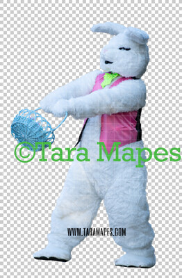 Easter Bunny -  Easter Bunny Clip Art - Easter Bunny Rabbit Cut Out  - Easter Overlay - Bunny PNG - File 2861