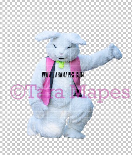 Easter Bunny - Easter Bunny Clip Art - Easter Bunny Rabbit Cut Out - Easter Overlay - Bunny PNG - File 2826