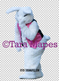 Easter Bunny -  Easter Bunny Clip Art - Easter Bunny Rabbit Cut Out  - Easter Overlay - Bunny PNG - File 2842