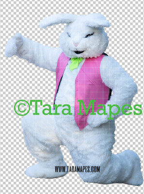 Easter Bunny -  Easter Bunny Clip Art - Easter Bunny Rabbit Cut Out  - Easter Overlay - Bunny PNG - File 2849